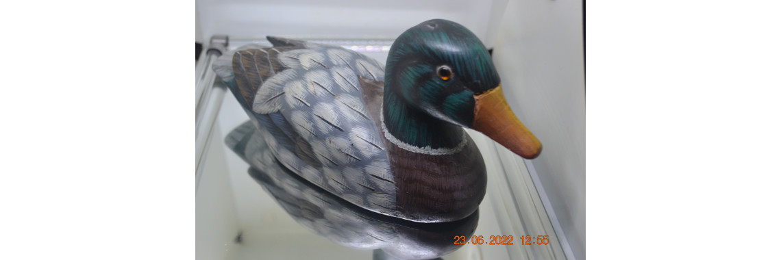 Duck Decoys
